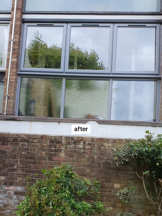 Misted Glass Replacement