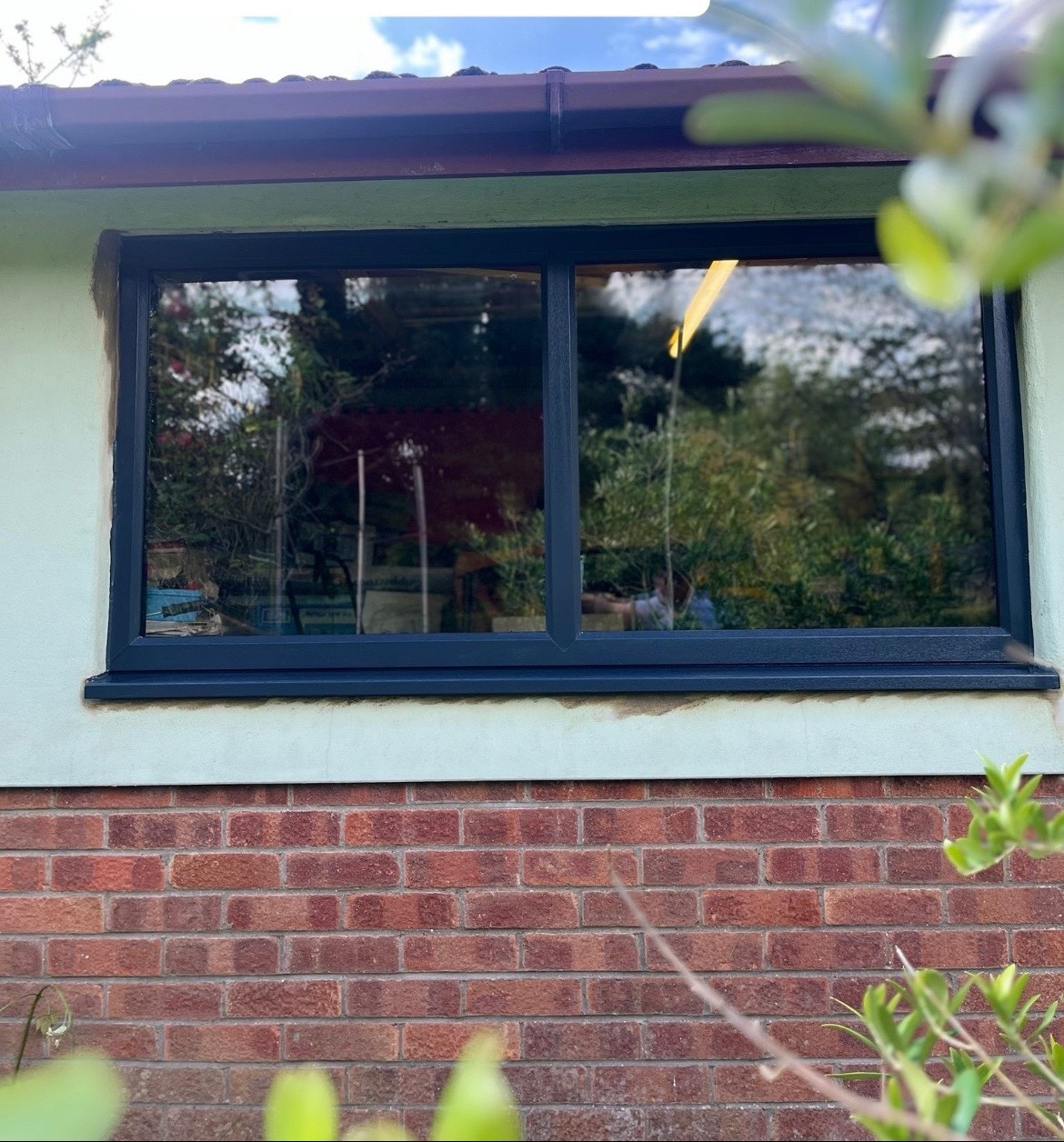 Window & Door Repairs